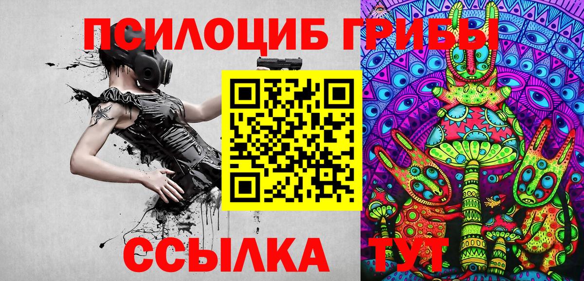 Псилоцибиновые грибы Cubensis Дальнереченск